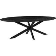 Eettafel James 210x100x76 cm