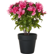 NOVELLA - Kunstplant - Groen/Roze - Synthetisch materiaal