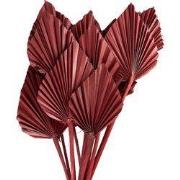 Clayre & Eef Droogbloemen 60 cm Roze Droogbloemen