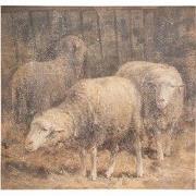 Clayre & Eef Schilderij 50x3x50 cm Bruin Canvas Schaap