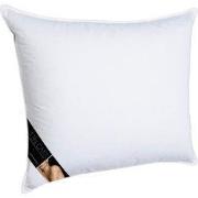 Ten Cate Synthetisch Hoofdkussen 60x70 cm