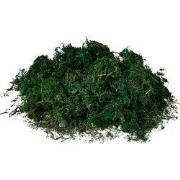 Clayre & Eef Decoratie 40x30 cm Groen Kunststof