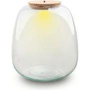 URBANJNGL - Terrarium fles ‘Emma' - Incl. LED-kurk - Gesloten terrariu...