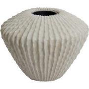 Light & Living - Vaas CACTI - Ø66x53cm - Bruin