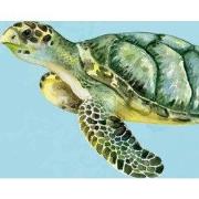 Diep in de zee - Kinderbehang - 292,2 cm x 280 cm - Walloha