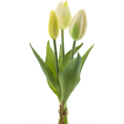 PSO Holland Tulip bundle Sally x3 cream 25 cm kunstbloem