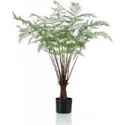 Fern plant 100 cm