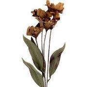 Clayre & Eef Kunstbloem 8x5x60 cm Bruin Kunststof