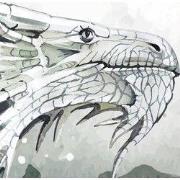 Drakendrift - Kinderbehang - 292,2 cm x 280 cm - Walloha