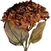 Clayre & Eef Kunstbloem 15x15x47 cm Oranje Kunststof