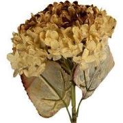 Clayre & Eef Kunstbloem 47 cm Beige Kunststof