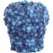 Light & Living - Vaas BERRIES - Ø20x20.5cm - Blauw