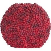 Light & Living - Vaas BERRIES - 44x19x37cm - Rood