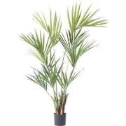 Kunstplant kentia - Hoogte 150cm