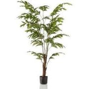 Palm fishtail 155 cm