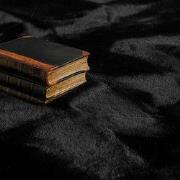 Hoogpolig Rabbit Plus Vloerkleed - Effen Uni - Zwart - 160x230 cm