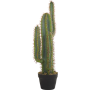 CACTUS - Kunstplant - Groen - Synthetisch materiaal