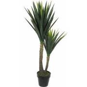 Yucca in pot green - h120xd60cm