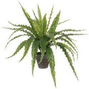 Mica Decorations Asplenium Kunstplant in Bloempot Stan - H54 x Ø66 cm ...