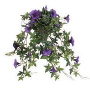 Petunia hanging d. purple in pot Stan grey d11,5cm - l50xw45xh25cm