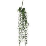 Eucalyptus hanging green - l93xw22xh10cm