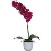 Phalaenopsis purple in pot Tusca white d12cm - h60xd16cm