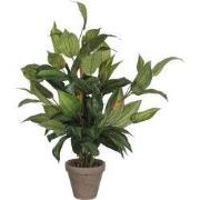 Mica Decorations Hosta Kunstplant in Bloempot Stan - H65 x Ø40 cm - Gr...