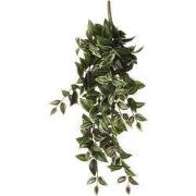 Tradescantia hanging green - l54xw20xh15cm