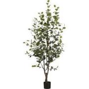Eucalyptus tree in pot green - h180xd80cm