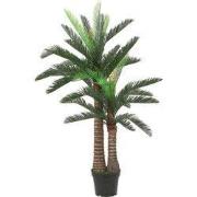 Cycas palm in plastic pot green - h150xd100cm
