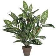 Mica Decorations Dieffenbachia Kunstplant in Bloempot Stan - H70 x Ø55...
