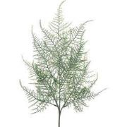 Kunsttak plumosa asparagus frosted, 65 cm