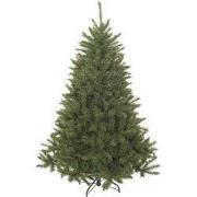 Bristlecone x-mas tree green TIPS 916 - h215xd127cm