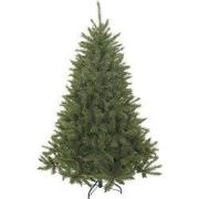 Triumph Tree Bristlecone Kunstkerstboom - H260 x Ø163 cm - Groen