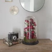 Onbreekbare stolp Ø 30 x 50 cm /  Decoratieve stolpen