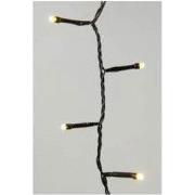 LED rice lights buiten 5.0