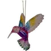 Hummingbird Rainbow