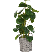 KIBETI  - Kunstplant - Groen - 55 cm - Synthetisch