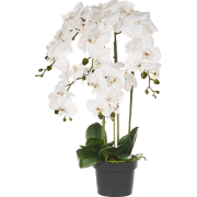 ORCHID - Kunstplant - Wit/Groen - 63 cm - Synthetisch