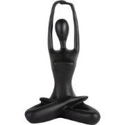 Present Time - Beeld Stretched Lotus - Zwart