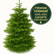 FURNILUX - Nordmann Kerstboom 350 -400 cm - Zonder Kluit - XL