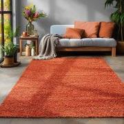 Tapijtenloods Basic Shaggy vloerkleed Terra / Oranje Hoogpolig- 160x23...