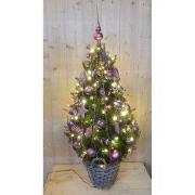 Echte kerstboom in mand met verlichting roze h130