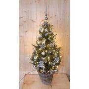 Echte kerstboom in mand met verlichting zilver h130