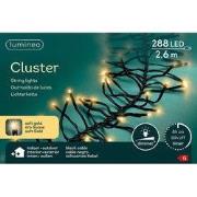 Led cluster 260cm-288l zwrt/sft gld