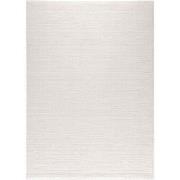 Eleganza vloerkleed - Gestreept Modern Laagpolig - Crème / Wit - 200 X...