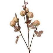 Clayre & Eef Kunstbloem 73 cm Beige Kunststof