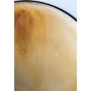 Bold Monkey Peek Into The Cosmos spiegel XXL