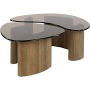 Salontafel Organisch Brons Glas - Set Van 2 - Tinto