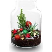 URBANJNGL - Frosty Kerstmis terrarium - Planten terrarium met kurk - D...